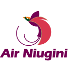 AIR NIUGUNI LOGO